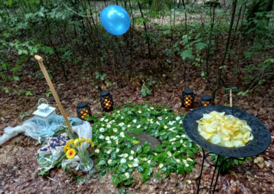 Beisetzung im Friedwald Wangen